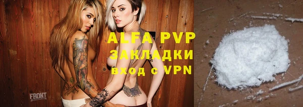 прущие грибы Балахна