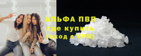 прущие грибы Балахна