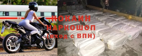 прущие грибы Балахна