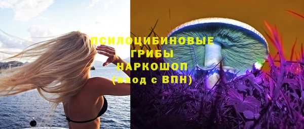 гашик Балабаново