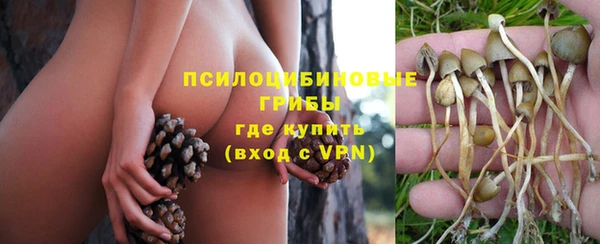гашик Балабаново