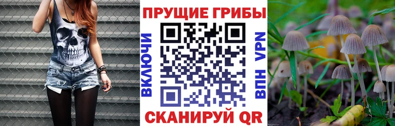 Галлюциногенные грибы ЛСД Верхняя Тура